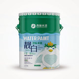 靓白净味水漆